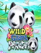 เกมปั่นสล็อตได้เงินจริง วิธีเล่นและทำเงิน